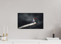 48 x 30 cm, Photo Print On Fuji Crystal DP II Change of Perspective