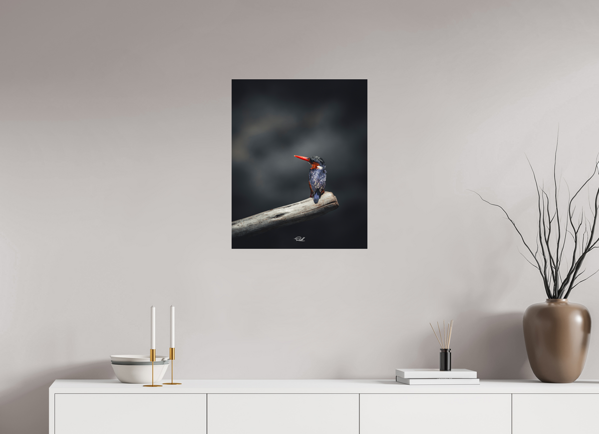 50 x 62,5 cm, Photo Print Under Acrylic Glass Solitude in Color