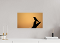 48 x 30 cm, Photo Print On Fuji Crystal DP II Bird in Black
