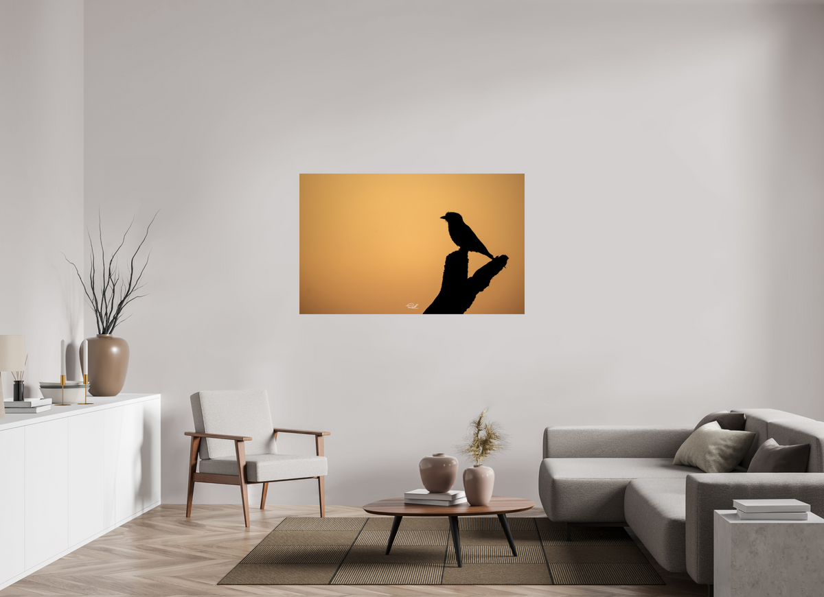 144 x 90 cm, Photo Print On Fuji Crystal DP II Bird in Black