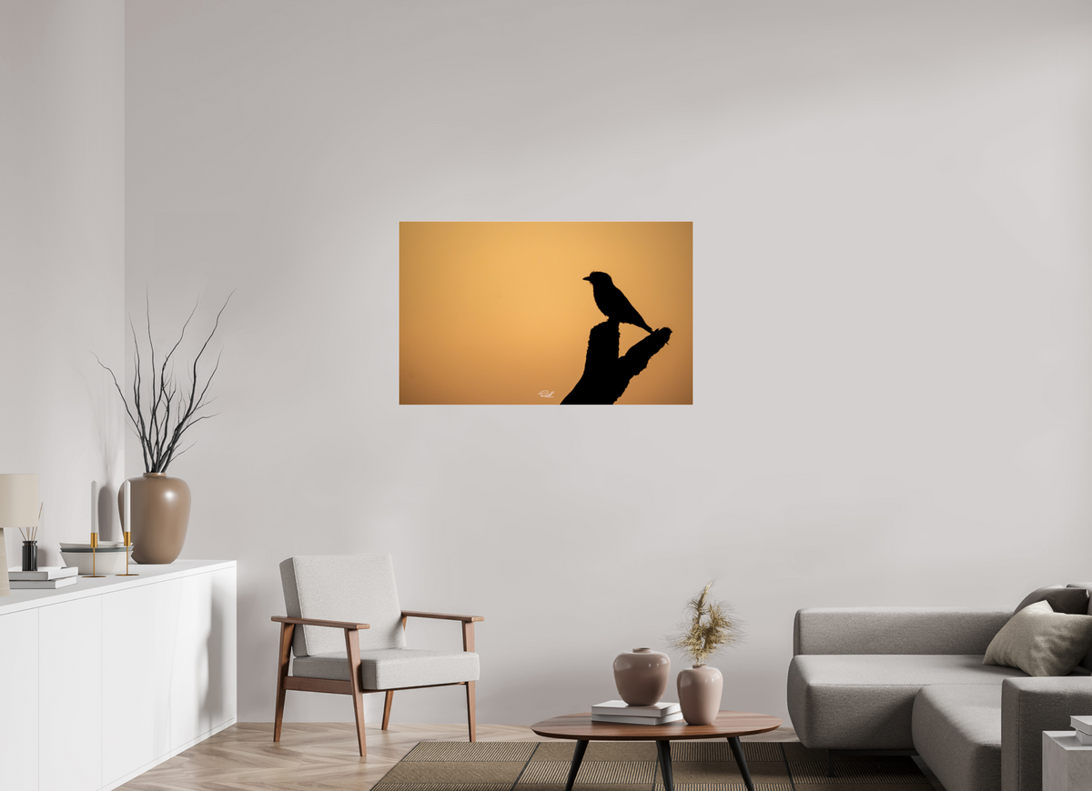 112 x 70 cm, Photo Print Under Acrylic Glass Bird in Black