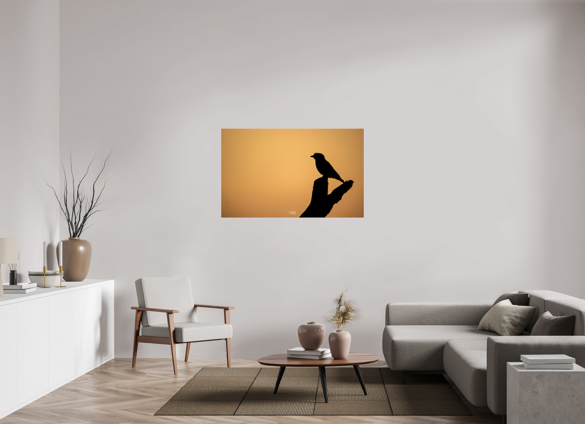 128 x 80 cm, Photo Print Under Acrylic Glass Bird in Black