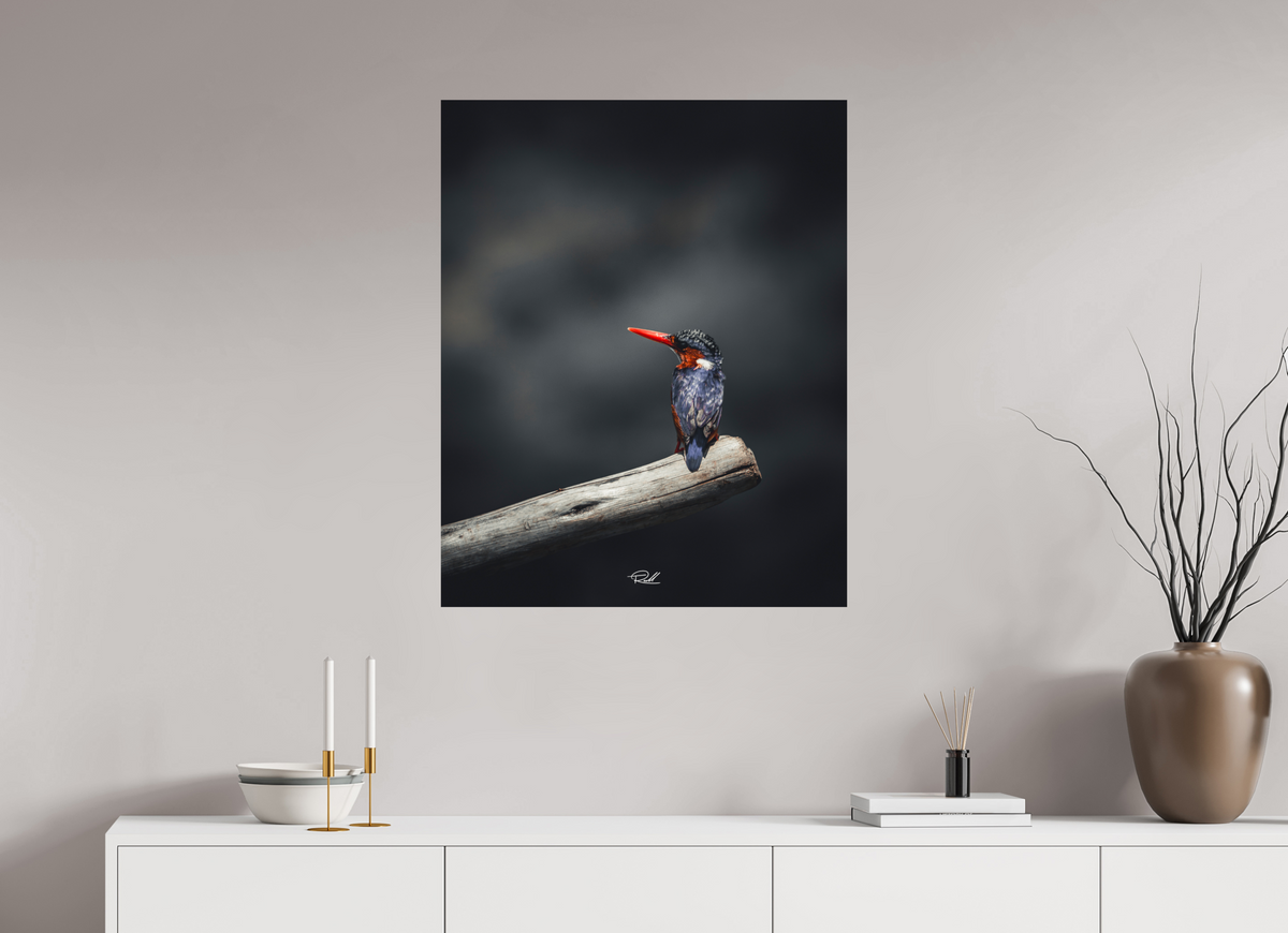 70 x 87,5 cm, Photo Print On Fuji Crystal DP II Solitude in Color
