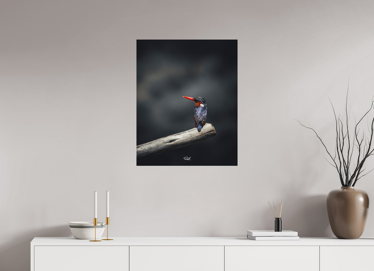 60 x 75 cm, Photo Print On Fuji Crystal DP II Solitude in Color