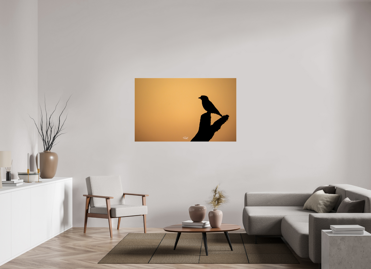 144 x 90 cm, Photo Print Under Acrylic Glass Bird in Black