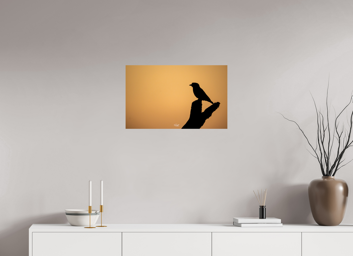 64 x 40 cm, Photo Print On Fuji Crystal DP II Bird in Black