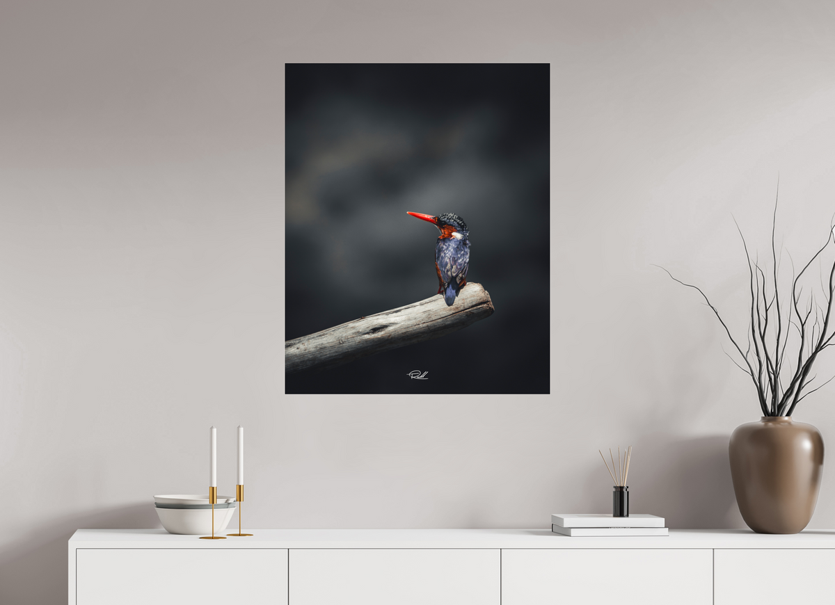 70 x 87,5 cm, Photo Print Under Acrylic Glass Solitude in Color