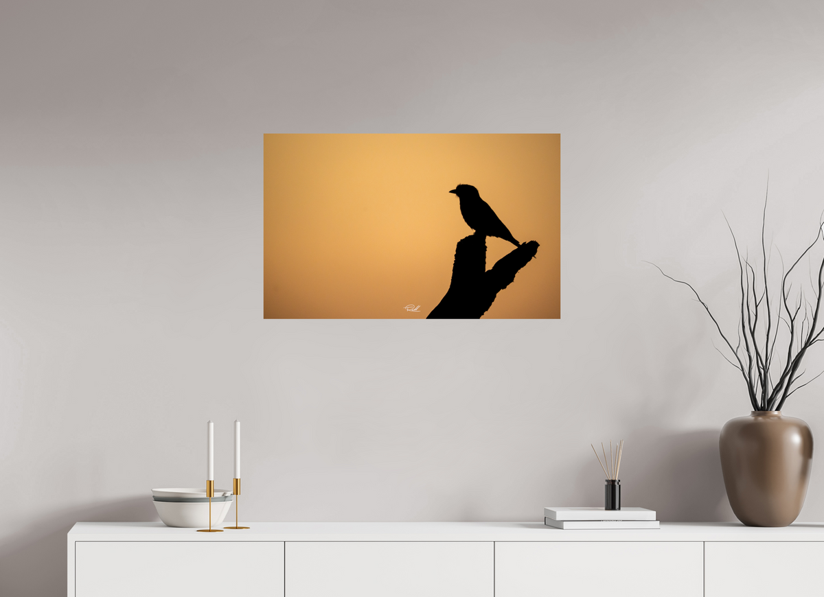 80 x 50 cm, Photo Print On Fuji Crystal DP II Bird in Black