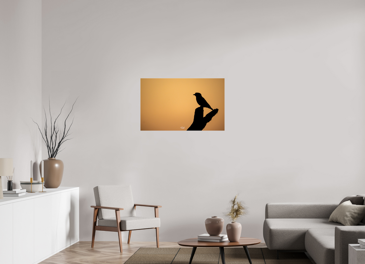 96 x 60 cm, Photo Print Under Acrylic Glass Bird in Black