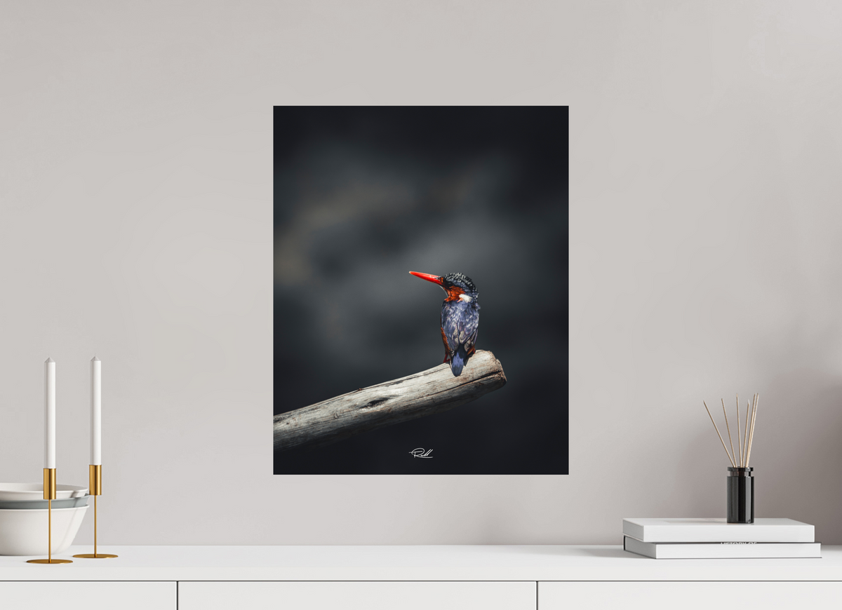 40 x 50 cm, Photo Print On Fuji Crystal DP II Solitude in Color