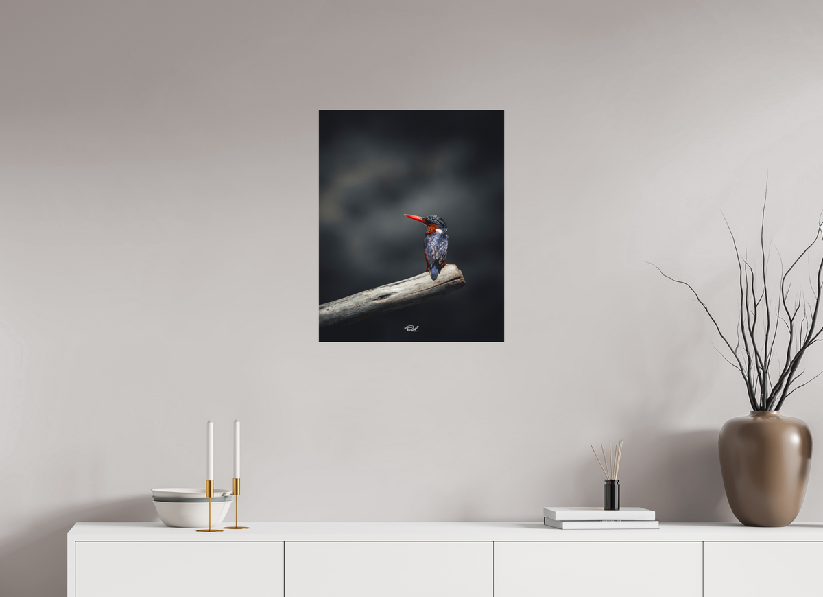 50 x 62,5 cm, Photo Print On Fuji Crystal DP II Solitude in Color