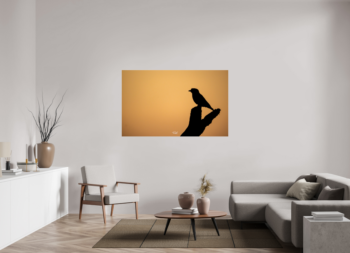160 x 100 cm, Photo Print Under Acrylic Glass Bird in Black
