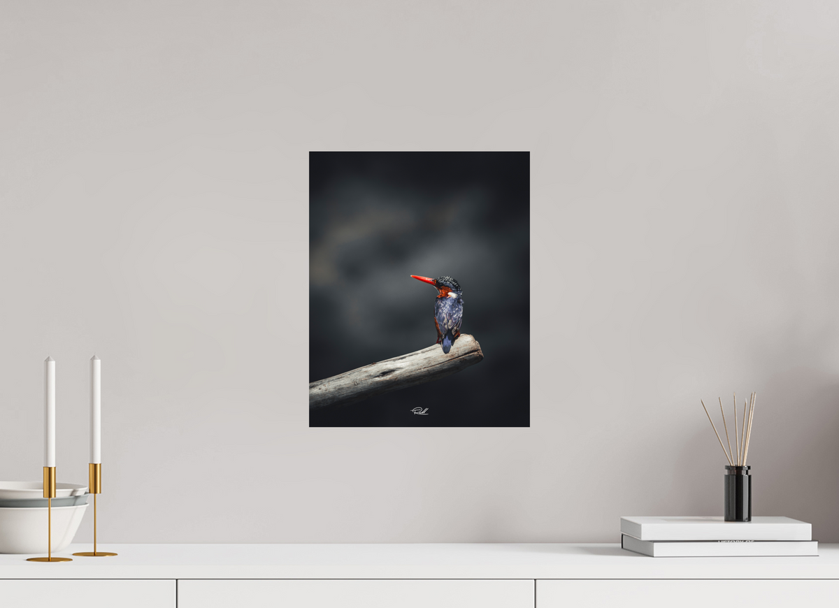30 x 37,5 cm, Photo Print On Fuji Crystal DP II Solitude in Color