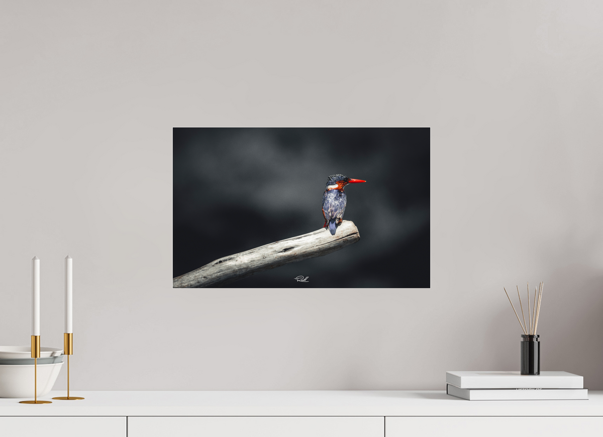 48 x 30 cm, Photo Print Under Acrylic Glass Change of Perspective